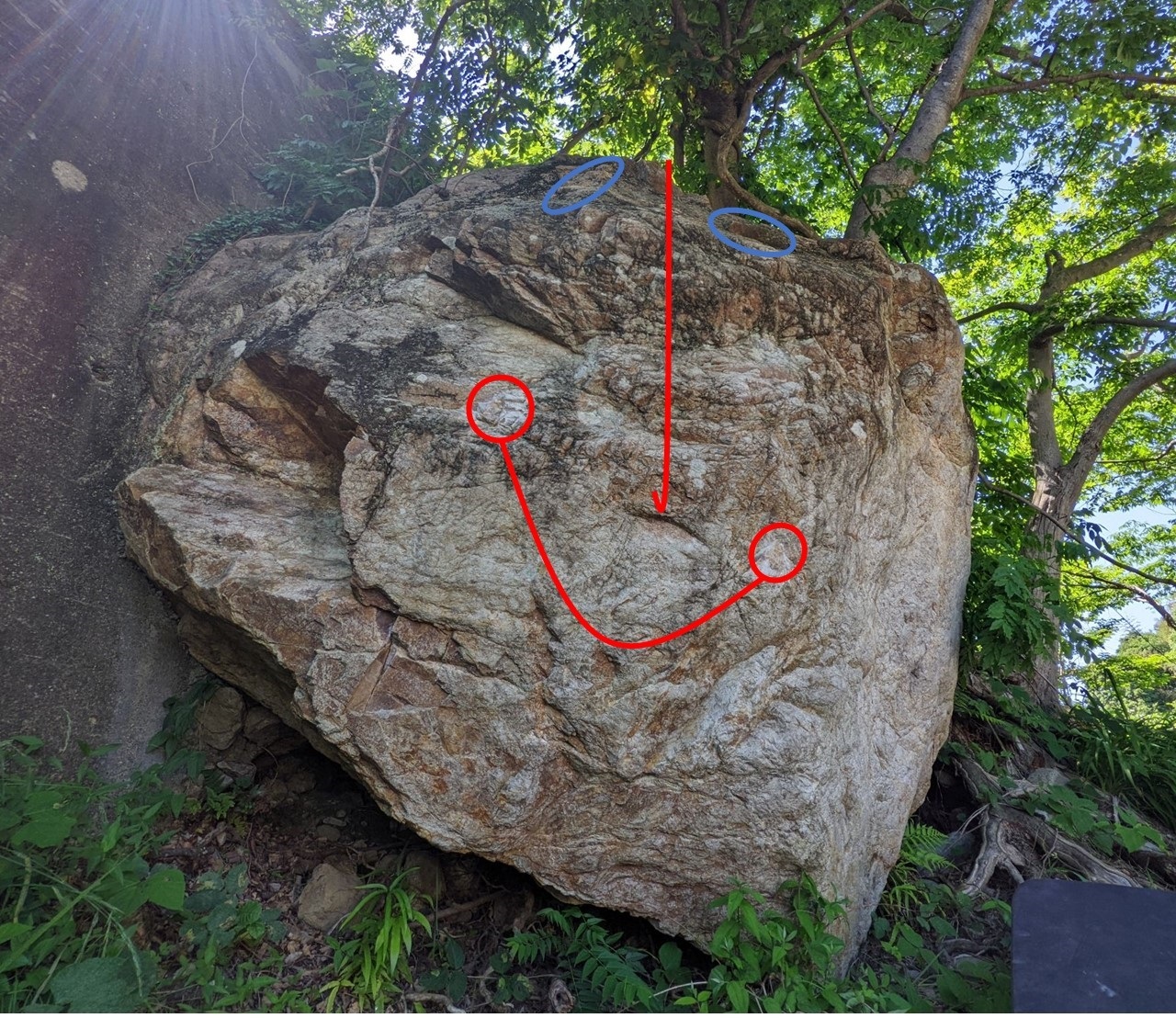 赤丸スタート。青丸周辺が限定だそうだが、詳細は不明。スラブ部分のガバ系はほぼ限定と思われる。(管理者さんの投稿)